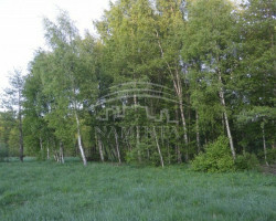 Parduodamas  sklypas Šaipių k., Klaipėdos r. sav., 230 a ploto 3