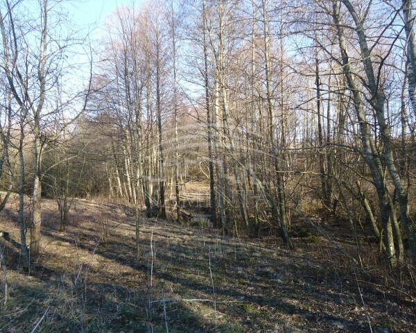 Parduodamas sklypas Kvietinių k., Klaipėdos r. sav., 16 a ploto 3