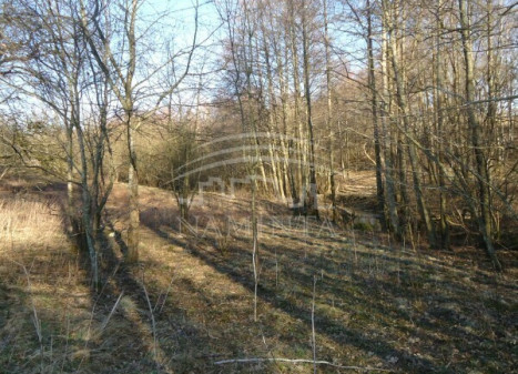 Parduodamas  sklypas Gargždupio g., Kvietinių k., Klaipėdos r. sav., 16 a ploto