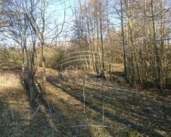 Parduodamas  sklypas Kvietinių k., Klaipėdos r. sav., 16 a ploto 4
