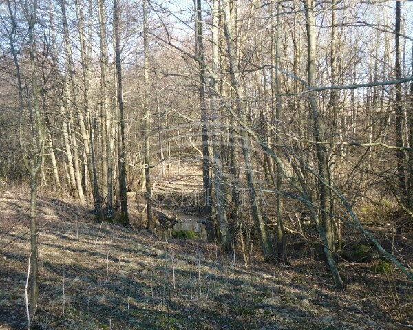Parduodamas sklypas Kvietinių k., Klaipėdos r. sav., 16 a ploto 5