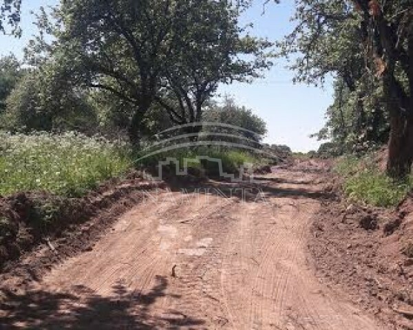 Parduodamas sklypas Priekulės m., Klaipėdos r. sav., 10 a ploto 3