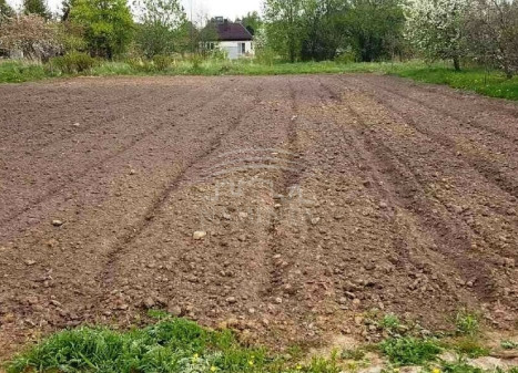 Parduodamas  sklypas Šiūparių k., Klaipėdos r. sav., 6 a ploto
