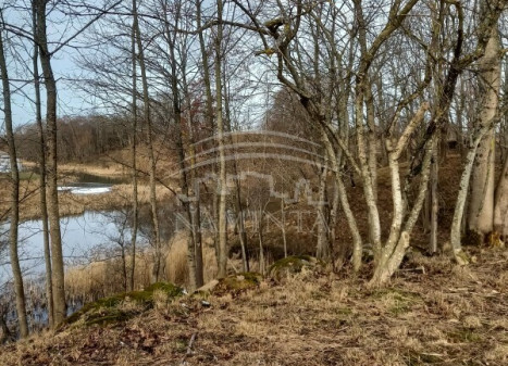 Parduodamas  sklypas Radailių k., Klaipėdos r. sav., 15 a ploto