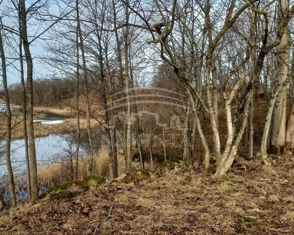 Parduodamas  sklypas Radailių k., Klaipėdos r. sav., 15 a ploto 1