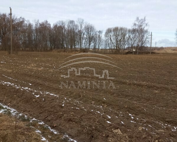 Parduodamas sklypas Radailių k., Klaipėdos r. sav., 15 a ploto 4