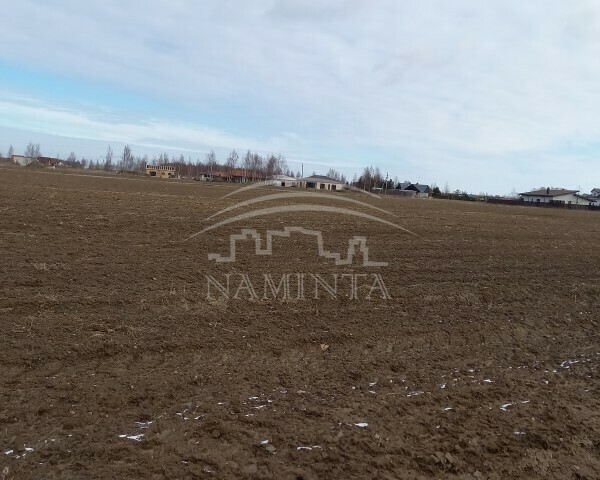 Parduodamas sklypas Radailių k., Klaipėdos r. sav., 15 a ploto 6