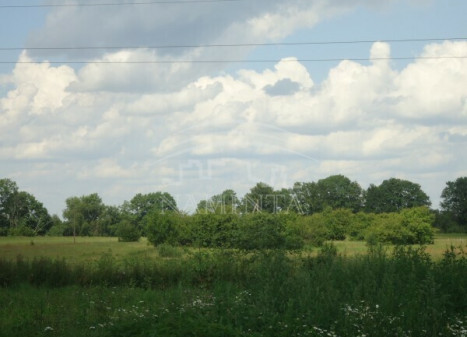 Parduodamas  sklypas Priekulės m., Klaipėdos r. sav., 50 a ploto