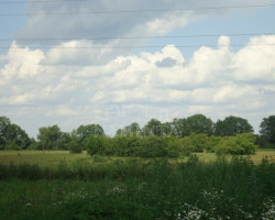 Parduodamas  sklypas Priekulės m., Klaipėdos r. sav., 50 a ploto 1