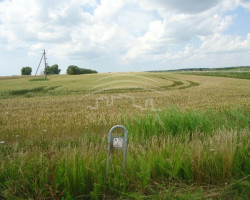 Parduodamas  sklypas Stragnų II k., Klaipėdos r. sav., 276 a ploto 4