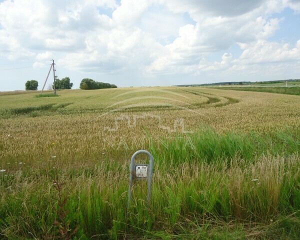 Parduodamas sklypas Stragnų II k., Klaipėdos r. sav., 276 a ploto 4