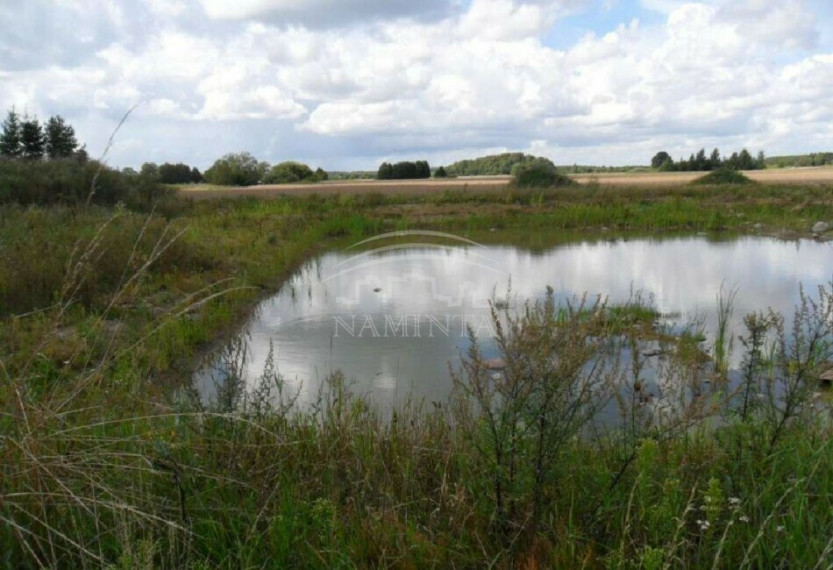 Parduodamas sklypas Jurjonų k., Klaipėdos r. sav., 15 a ploto 4