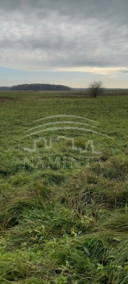 Parduodamas sklypas Ežaičių k., Klaipėdos r. sav., 80 a ploto 3