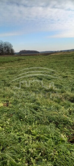 Parduodamas sklypas Ežaičių k., Klaipėdos r. sav., 80 a ploto 5