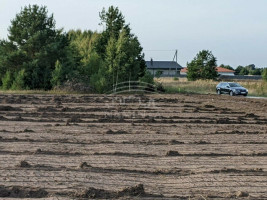 Parduodamas  sklypas Dituvos k., Klaipėdos r. sav., 25 a ploto 3