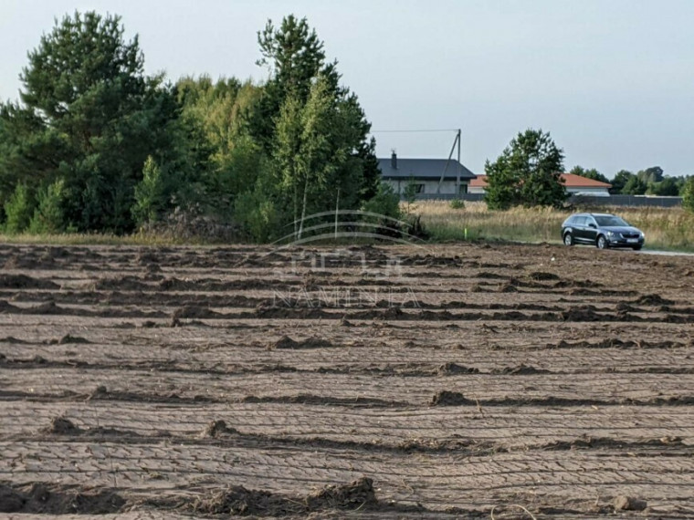 Parduodamas sklypas Dituvos k., Klaipėdos r. sav., 25 a ploto 3