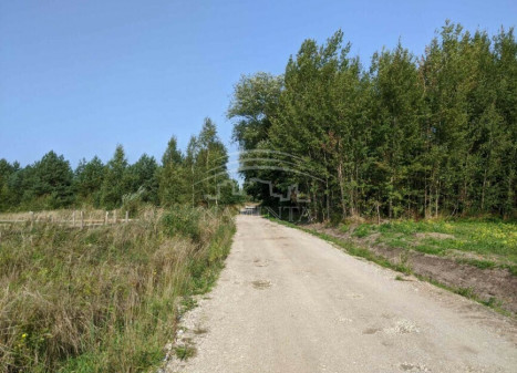 Parduodamas  sklypas Dituvos k., Klaipėdos r. sav., 45 a ploto