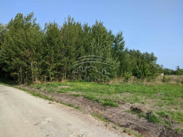 Parduodamas sklypas Dituvos k., Klaipėdos r. sav., 45 a ploto 2