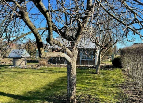 Parduodamas  sklypas Radailių k., Klaipėdos r. sav., 6 a ploto