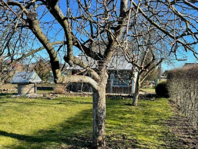 Parduodamas sklypas Radailių k., Klaipėdos r. sav., 6 a ploto 1