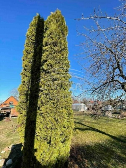 Parduodamas sklypas Radailių k., Klaipėdos r. sav., 6 a ploto 3