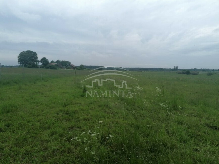 Parduodamas sklypas Pangesų k., Klaipėdos r. sav., 67 a ploto 3