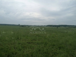 Parduodamas  sklypas Pangesų k., Klaipėdos r. sav., 67 a ploto 6