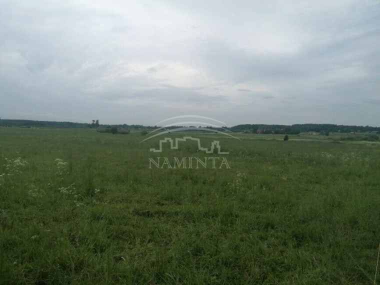 Parduodamas sklypas Pangesų k., Klaipėdos r. sav., 67 a ploto 6