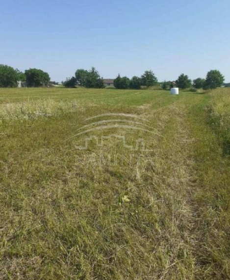 Parduodamas sklypas Jokūbavo k., Kretingos r. sav., 17 a ploto 1