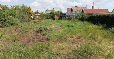 Parduodamas  sklypas Dituvos k., Klaipėdos r. sav., 6 a ploto 2