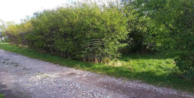 Parduodamas  sklypas Purmalių k., Klaipėdos r. sav., 10 a ploto 1