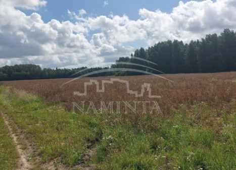 Parduodamas  sklypas Rudaičių k., Klaipėdos r. sav., 133 a ploto
