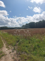 Parduodamas  sklypas Rudaičių k., Klaipėdos r. sav., 133 a ploto 1