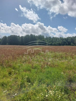 Parduodamas  sklypas Rudaičių k., Klaipėdos r. sav., 133 a ploto 2