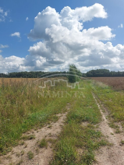 Parduodamas sklypas Rudaičių k., Klaipėdos r. sav., 133 a ploto 3