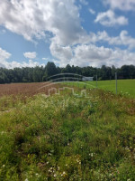 Parduodamas  sklypas Rudaičių k., Klaipėdos r. sav., 133 a ploto 4