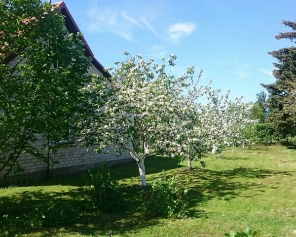 Parduodamas namas Drevernos k., Klaipėdos r. sav., 66 m2 ploto, 2 aukštai 2