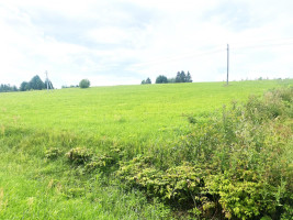 Parduodamas sklypas Sudeikių mstl., Utenos r. sav., 66.00 a ploto 8