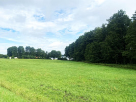 Parduodamas sklypas Sudeikių mstl., Utenos r. sav., 66.00 a ploto 9
