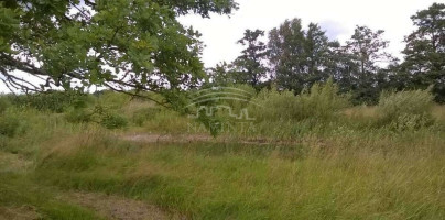 Parduodamas namas Malagių k., Klaipėdos r. sav., 46 m2 ploto, 1 aukštai 2