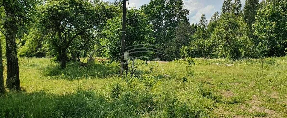 Parduodamas namas Jurjonų k., Klaipėdos r. sav., 250 m2 ploto 1