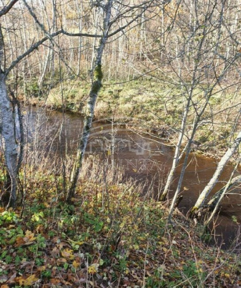 Parduodamas namas Jurjonų k., Klaipėdos r. sav., 250 m2 ploto 4