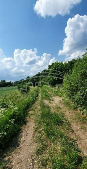 Parduodamas namas Jurjonų k., Klaipėdos r. sav., 250 m2 ploto 5