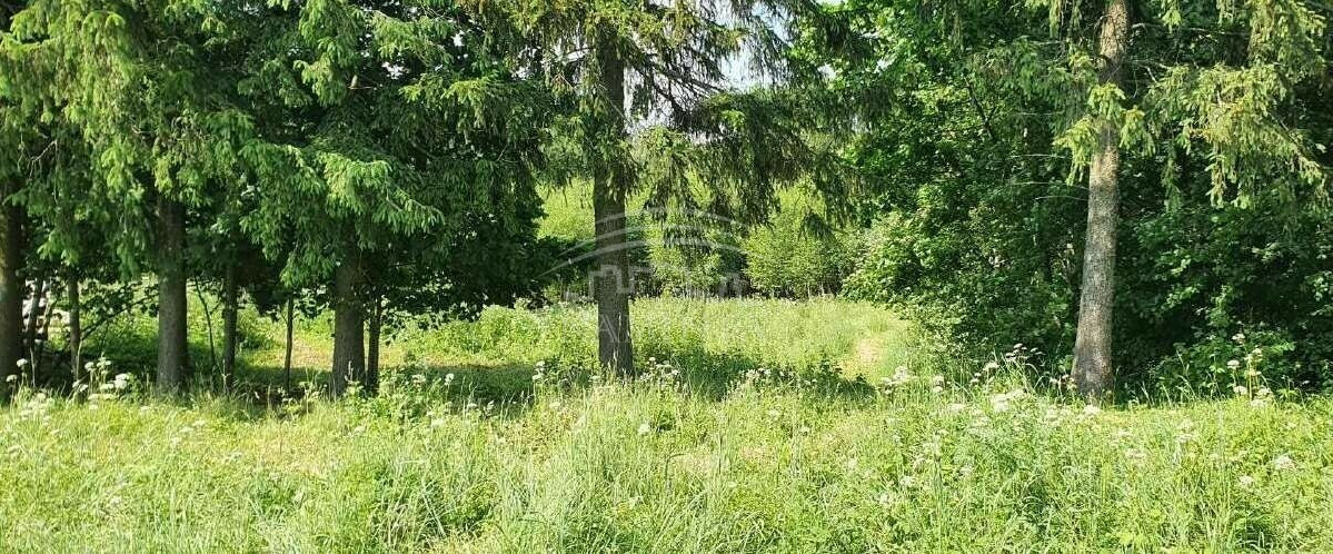 Parduodamas namas Jurjonų k., Klaipėdos r. sav., 250 m2 ploto 9