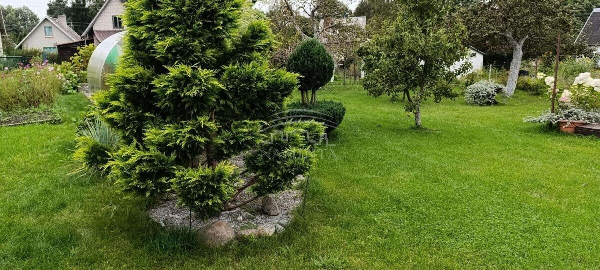 Parduodamas namas Dituvos k., Klaipėdos r. sav., 50 m2 ploto, 2 aukštai 4