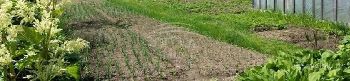 Parduodamas namas Priekulės m., Klaipėdos r. sav., 300 m2 ploto, 2 aukštai 3