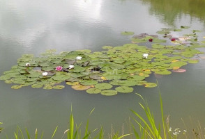 Parduodamas namas Mockaičių k., Klaipėdos r. sav., 200 m2 ploto 8