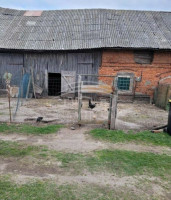 Parduodamas namas Vanagų k., Klaipėdos r. sav., 44 m2 ploto, 1 aukštai 5