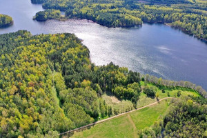 Parduodamas sklypas Brukninės vs., Zarasų r. sav., 245.00 a ploto 6