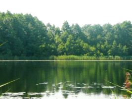 Parduodamas sklypas Daneikių k., Zarasų r. sav., 116 a ploto 11